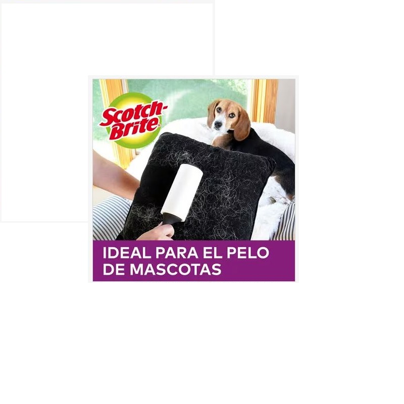 roller-1-1603751.jpg 1